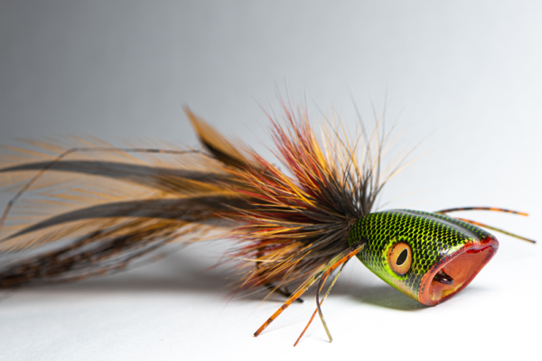 Freshwater Streamer Cape Popper